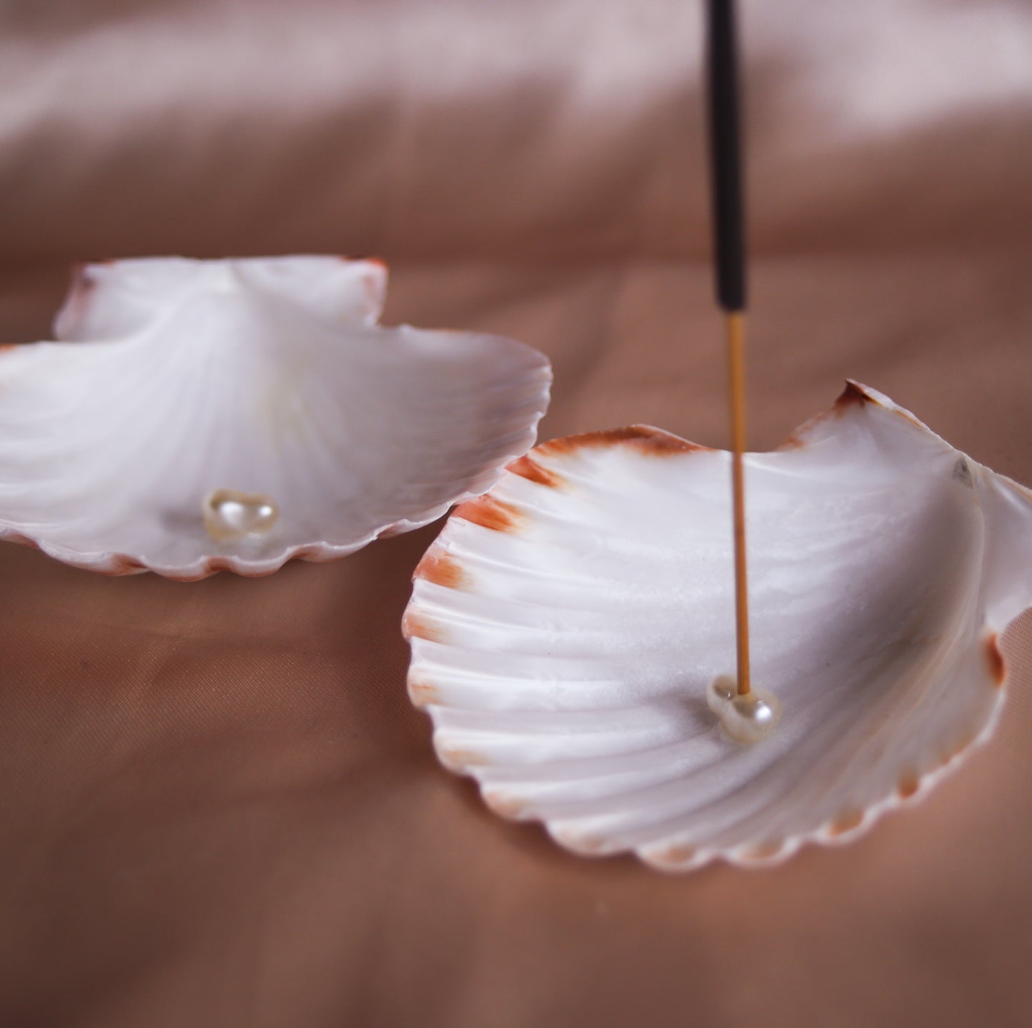 Scallop Incense Holder