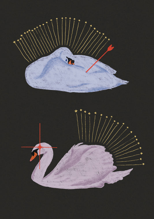 Two illustrated swans with stars and an arrow on a dark background