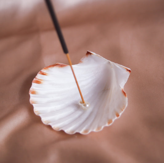 Scallop Incense Holder