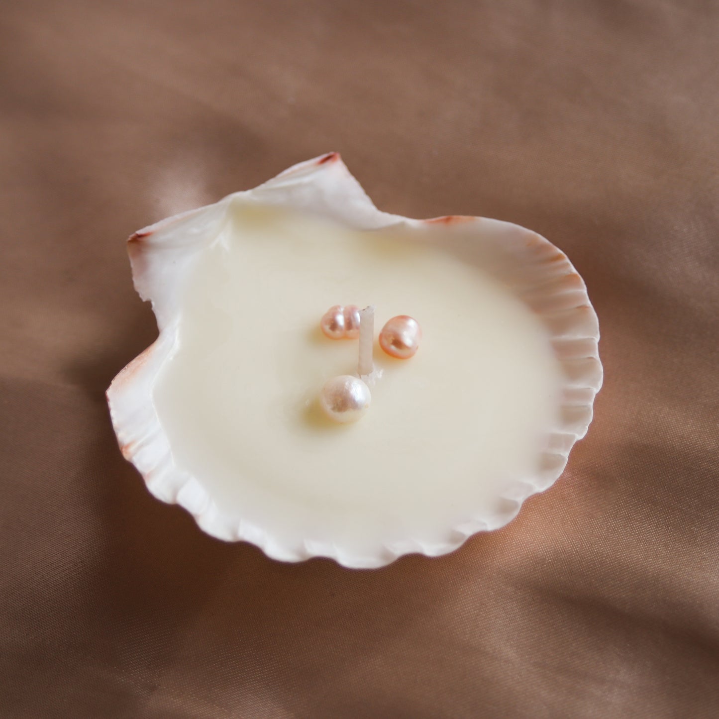 Scallop Tea Light